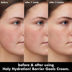 Holy Hydration! Barrier Goals Cream Regular